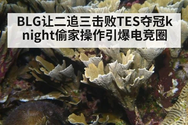 BLG让二追三击败TES夺冠knight偷家操作引爆电竞圈